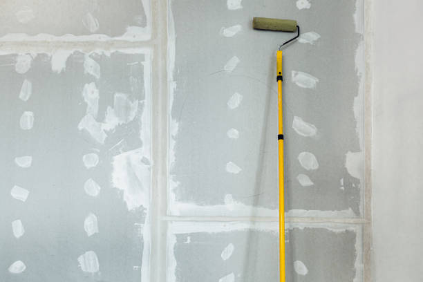 Best Asbestos and Lead Testing During Mold Inspection  in Vista Santa Rosa, CA
