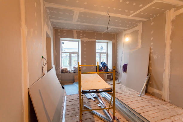 Professional Mold Removal in Vista Santa Rosa, CA